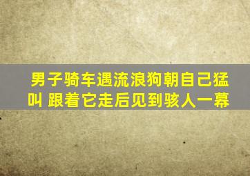 男子骑车遇流浪狗朝自己猛叫 跟着它走后见到骇人一幕